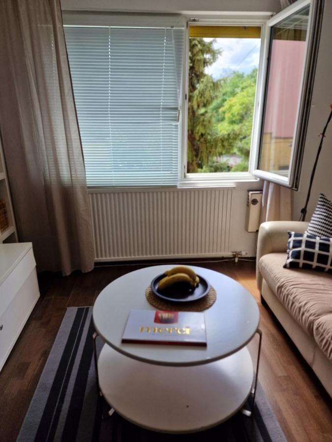 Vienna Schloss Schoenbrunn 6 Appartment エクステリア 写真